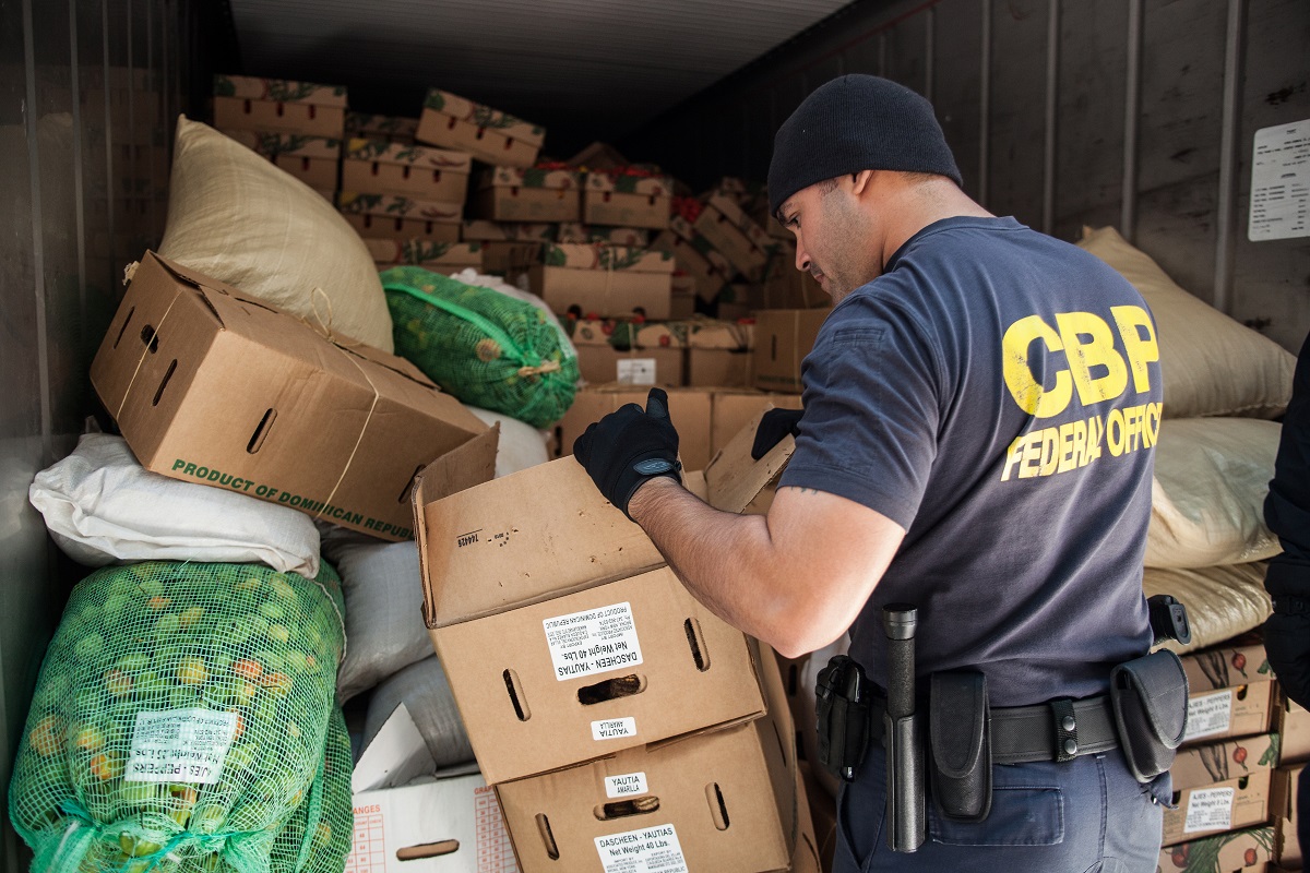 A CBP officer inspects food cargo within a truck at Red Hook in Brooklyn, N.Y. (photo by Josh Denmark)