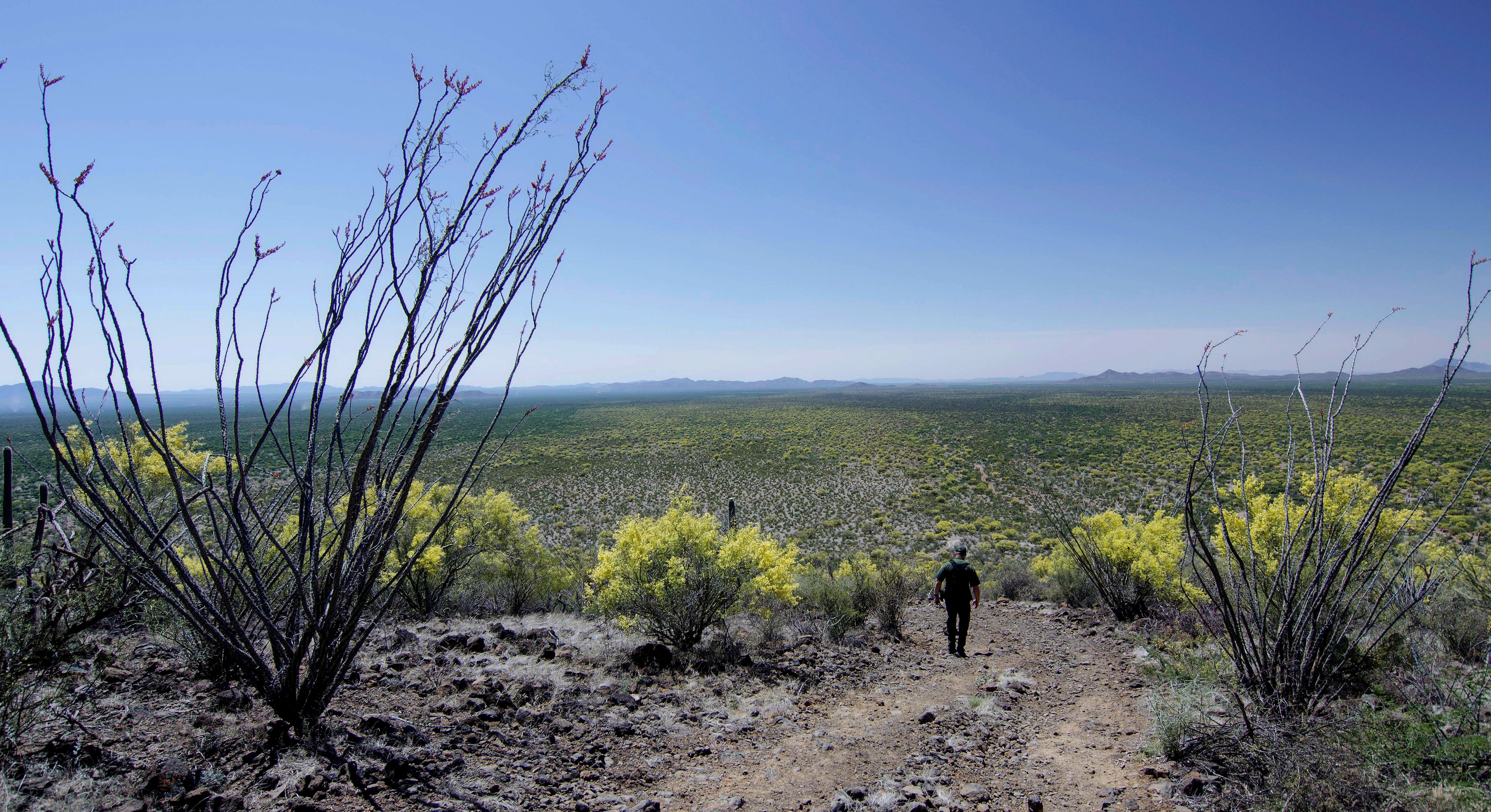 Photo of a Border Patrol agent descending a desert hill