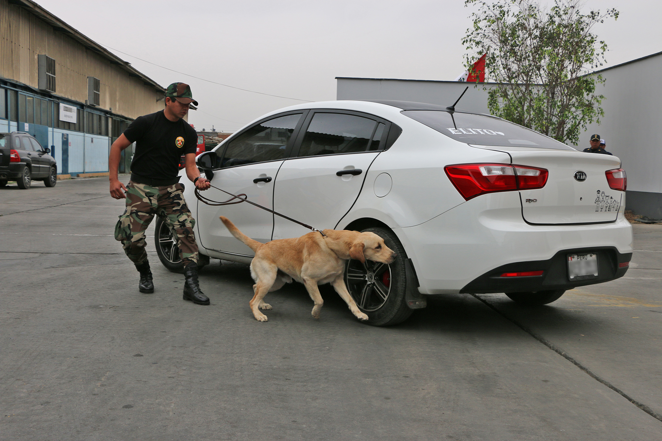Photo of Peruvian K-9 handler following his dog while searching for illegal drugs in a vehicle