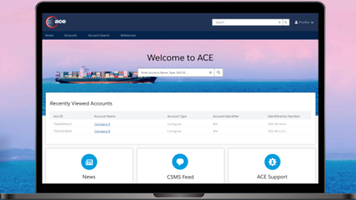 Screenshot of the new ACE portal login.
