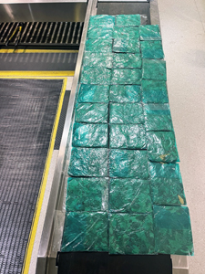 U.S. Customs and Border Protection officers seized nearly eight pounds of coca leaves in two passengers' baggage from Panama on February 19 at Baltimore Washington International Thurgood Marshall Airport.