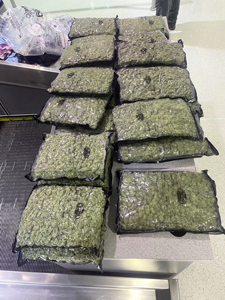 U.S. Customs and Border Protection officers seized 32 pounds of marijuana in a passenger’s baggage before the passenger could board a flight to London on February 25 at Baltimore Washington International Thurgood Marshall Airport.