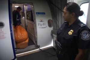 Standing on a jetway at JFK Airport, a CBP agriculture specialist observes as regulated garbage is being taken off a flight.
