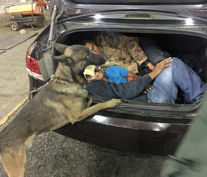 With the help of a Border Patrol canine, agents at the Interstate 19 traffic checkpoint located three Mexican nationals in the trunk of a vehicle that was stopped.