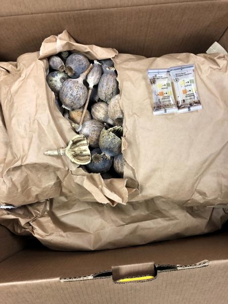 U.S. Customs and Border Protection officers in Baltimore intercepted a shipment of 13 pounds of opium poppy pods on February 23, 2022, that was destined to an address in Cecil County, Maryland.