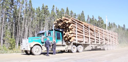 trucks hauling logs