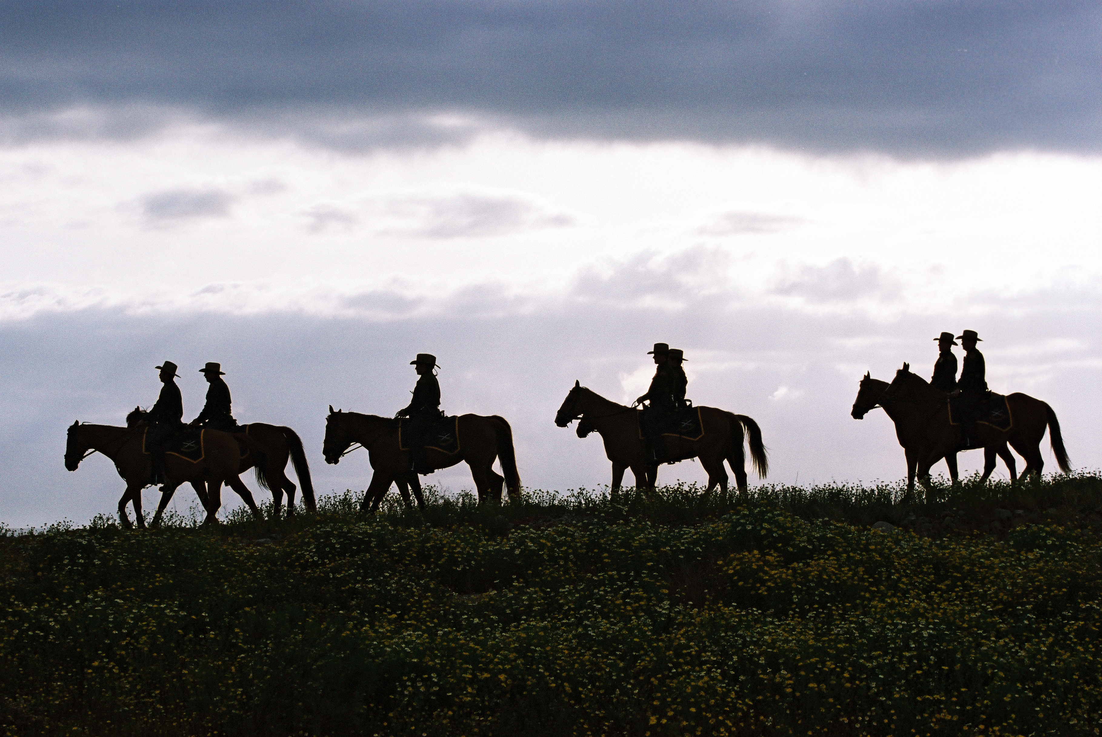 U.S. Border Patrol utilizes horses in difficult terrain to ensure the safety of the nation's border.
