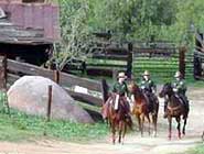 UBPO officers on brown horses