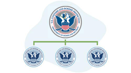 CBP Organizational Chart