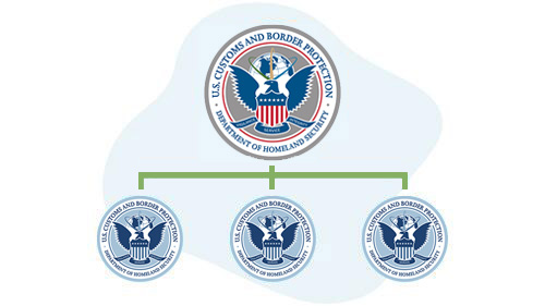 Immigration And Customs Enforcement Organizational Chart