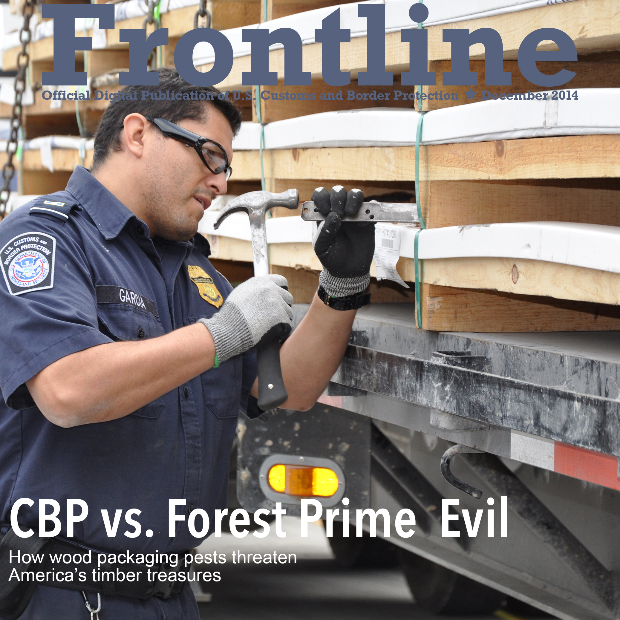 Photo of CBP agriculture specialist examing pallets for invasive pests