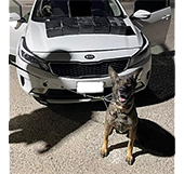 photo of K9 with seized drugs