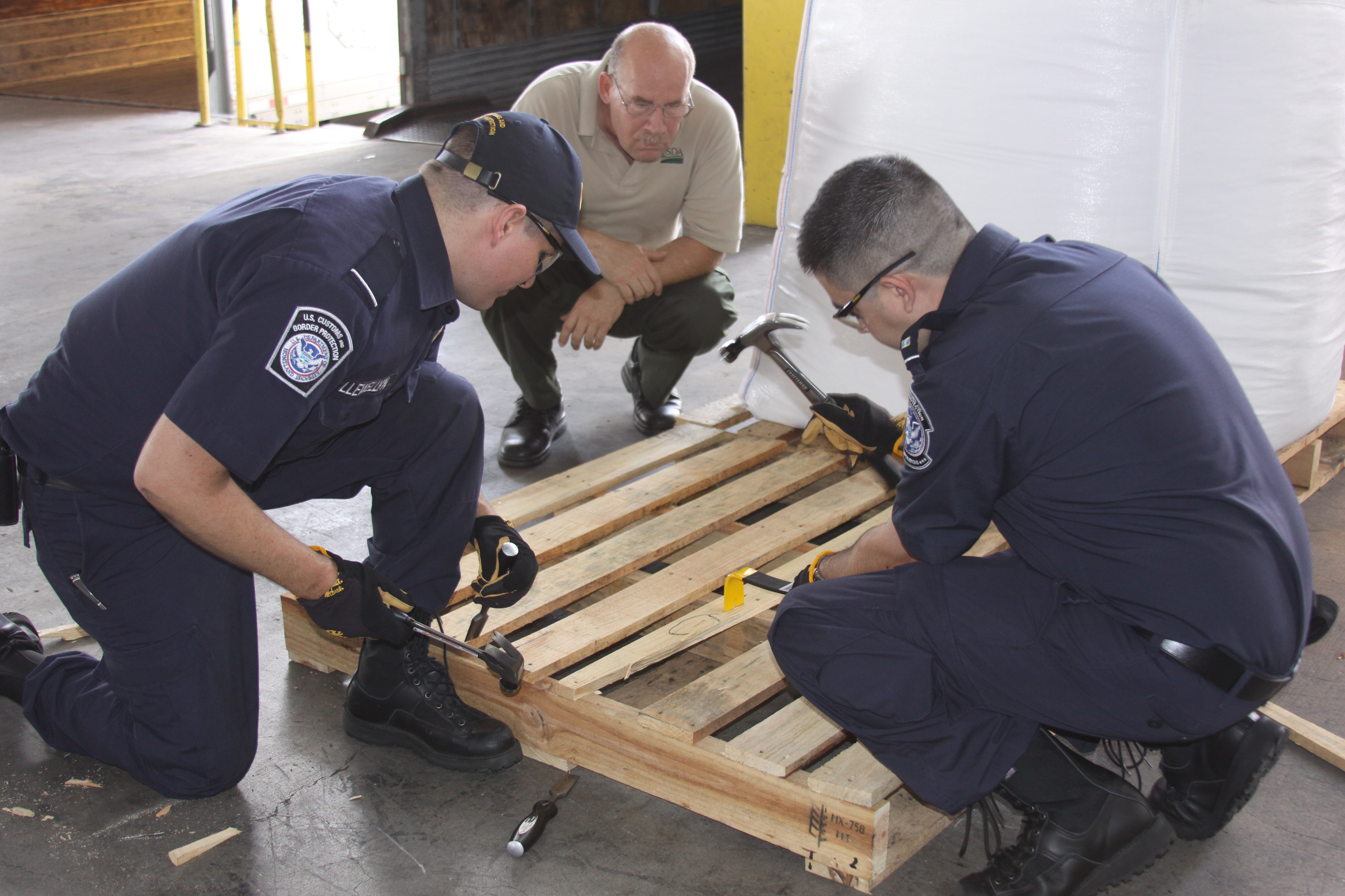 Photo of CBP agriculture specialists in Laredo, Texas, examining a wooden pallet for signs of insect infestation