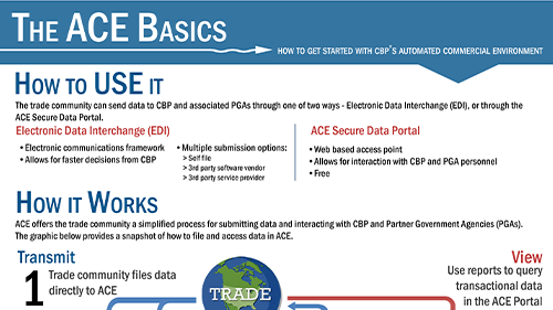 Screenshot of the "ACE Basics" infographic depicting overview of ACE and how to get started using ACE.