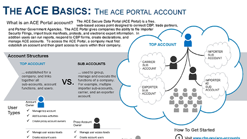 Screenshot of ACE Basics infographic depicting an overview of the types of ACE portal accounts and users.