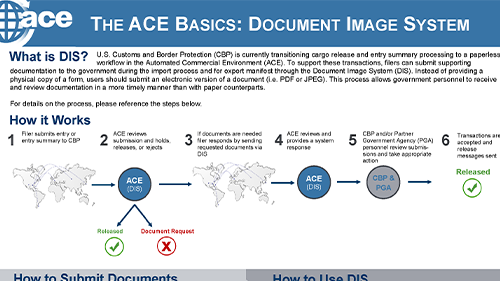 Screenshot of ACE Basics: DIS infographic depicting the document image system for ACE users.