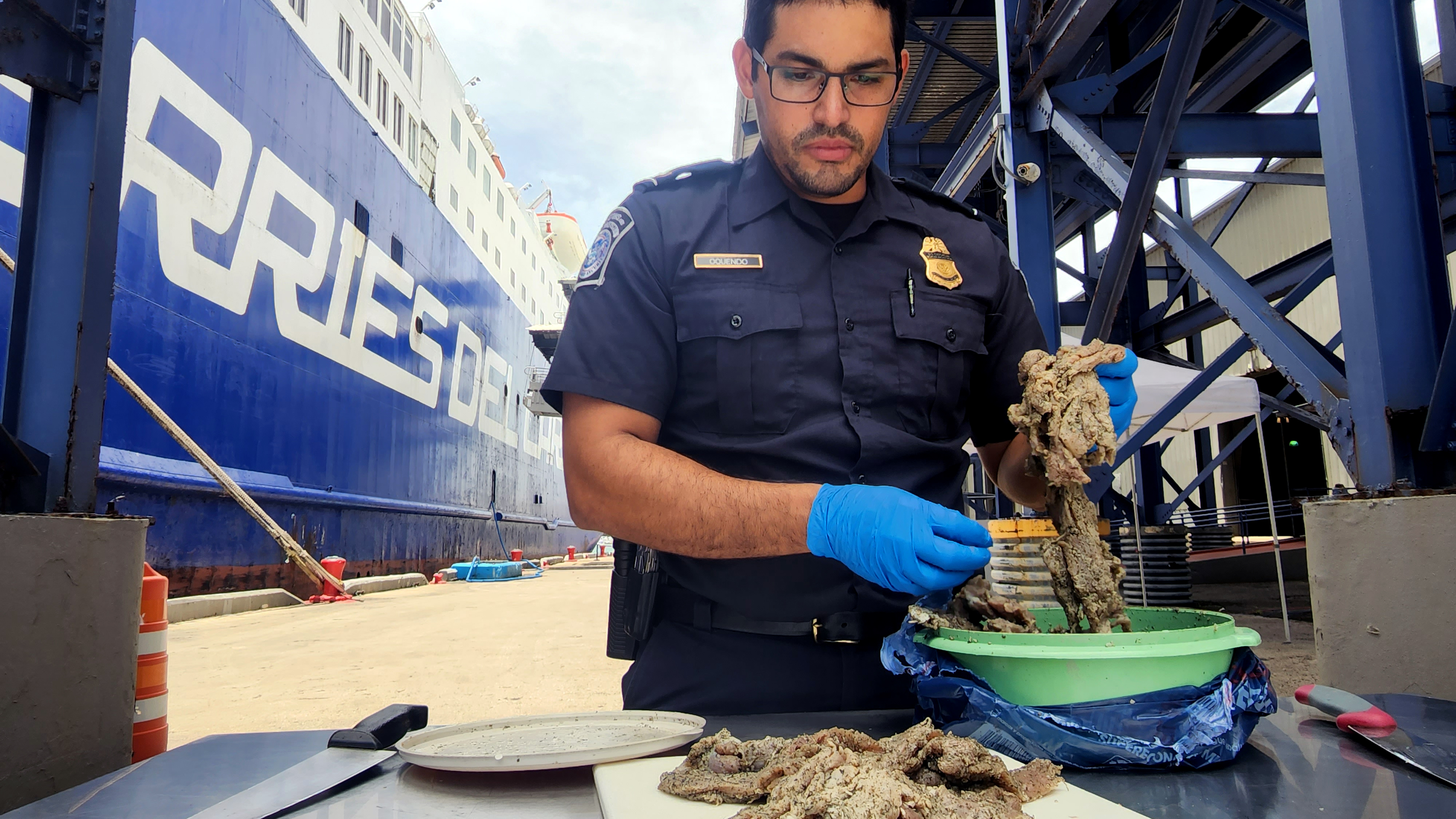 A CBP agriculture specialist prepares seized pork for destruction.