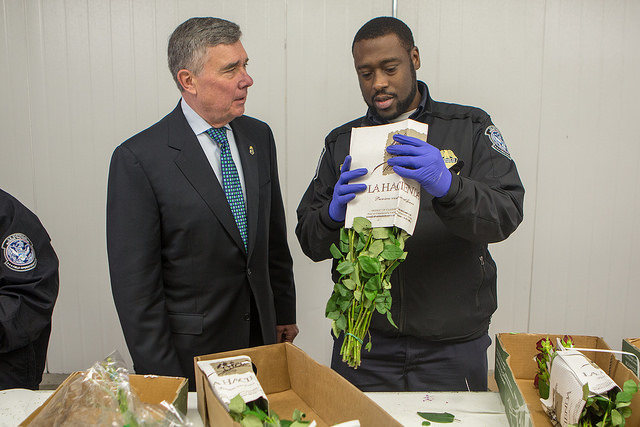 CBP Agriculture Specialists inspect the flowers looking for plant pests.