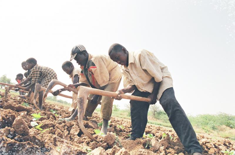 These children in Niger have been assigned by a local religious leader to work at a farm. Photo courtesy of the International Labour Organization