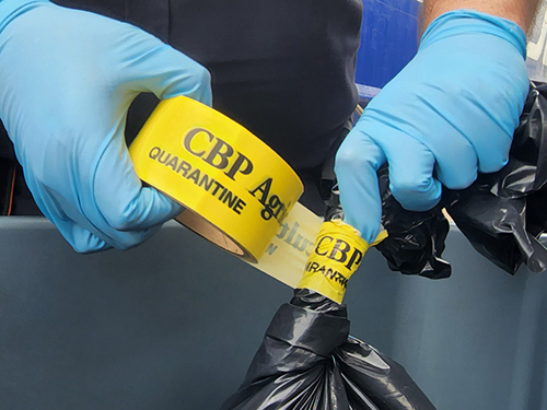 A CBP agriculture specialist seals a bag with hazardous items.