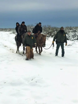 Border Patrol agents rescue illegal aliens caught in a rare snow storm and freezing temperatures over the weekend in south Texas