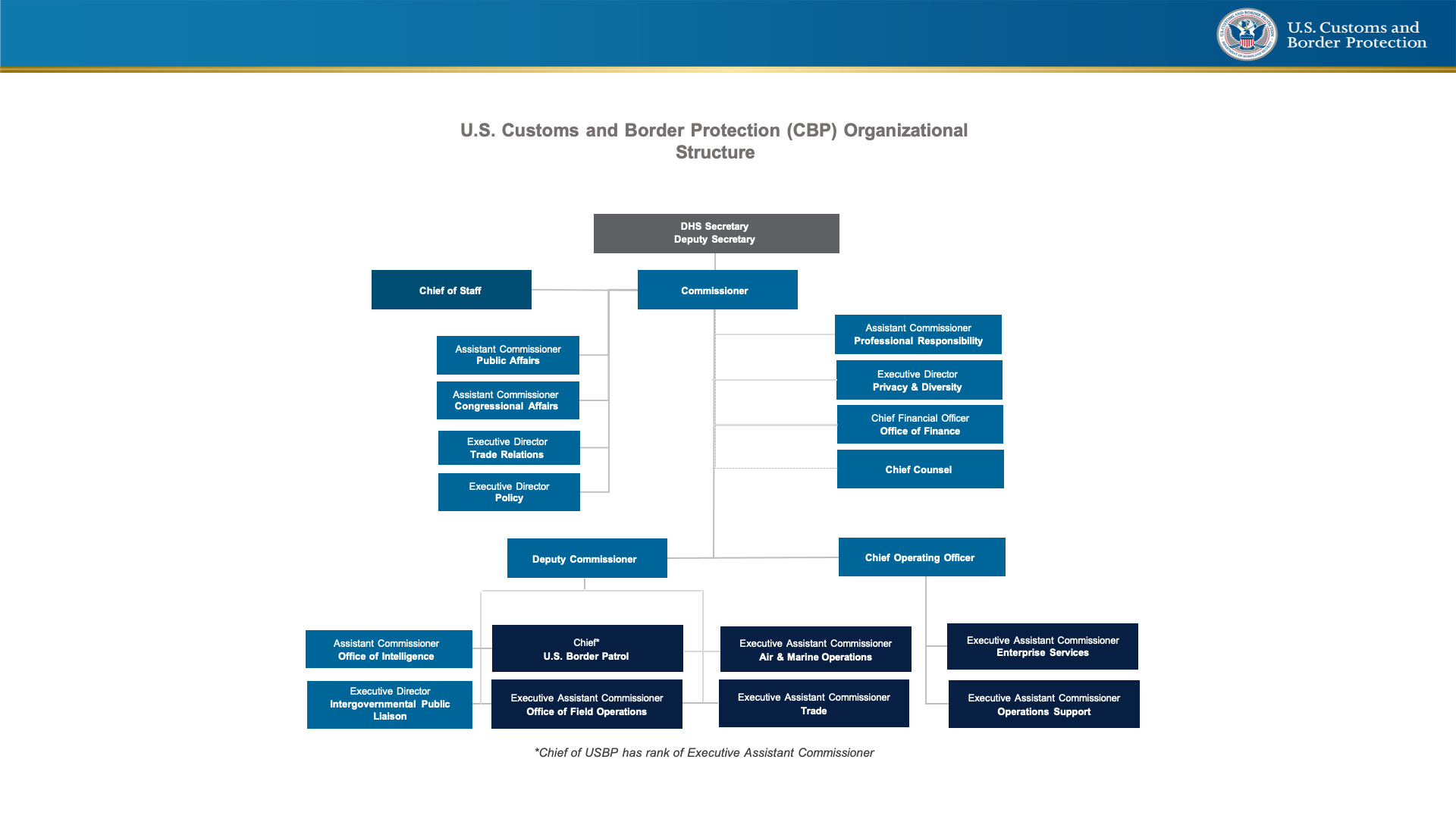Organizational chart for U.S. Customs and Border Protection - DHS Secretary and Undersecretary at the top with the Commissioner reporting to them. Chief of Staff reports to Commissioner, along with Assistant Commissioner of Public Affairs, Assistant Commissioner of Congressional Affairs, Executive Director of Trade Relations, Executive Director of Policy, Deputy Commissioner, Assistant Commissioner of Professional Responsibility, Executive Director of Policy & Diversity, Chief Financial Officer of Office of Finance, Chief Counsel, Chief Operating Officer. Reporting to Deputy Commissioner are Assistant Commissioner of Office of Intelligence, Executive Director of Intergovernmental Affairs, Chief of U.S. Border Patrol, Executive Assistant Commissioner of Office of Field Operations, Executive Assistanct Commissioner of Air & Marine Operations, and Executive Assistant Commissioner of Trade. Reporting to Chief Operating Officer is Executive Assistant Commissioner of Enterprise Services and Executive Assistant Commissioner of Operations Support.