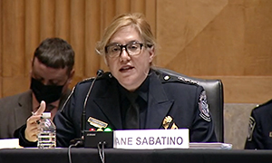DEAC Diane Sabatino at a November 17 HSGAC subcommittee hearing