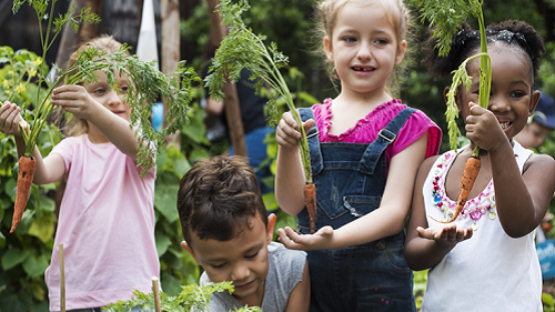 Children in a garden holding vegetables.