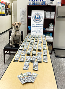 U.S. Customs and Border Protection officers seized $56,400 in unreported currency from an Iraq-bound man and his mother at Washington Dulles International Airport on December 7, 2023.