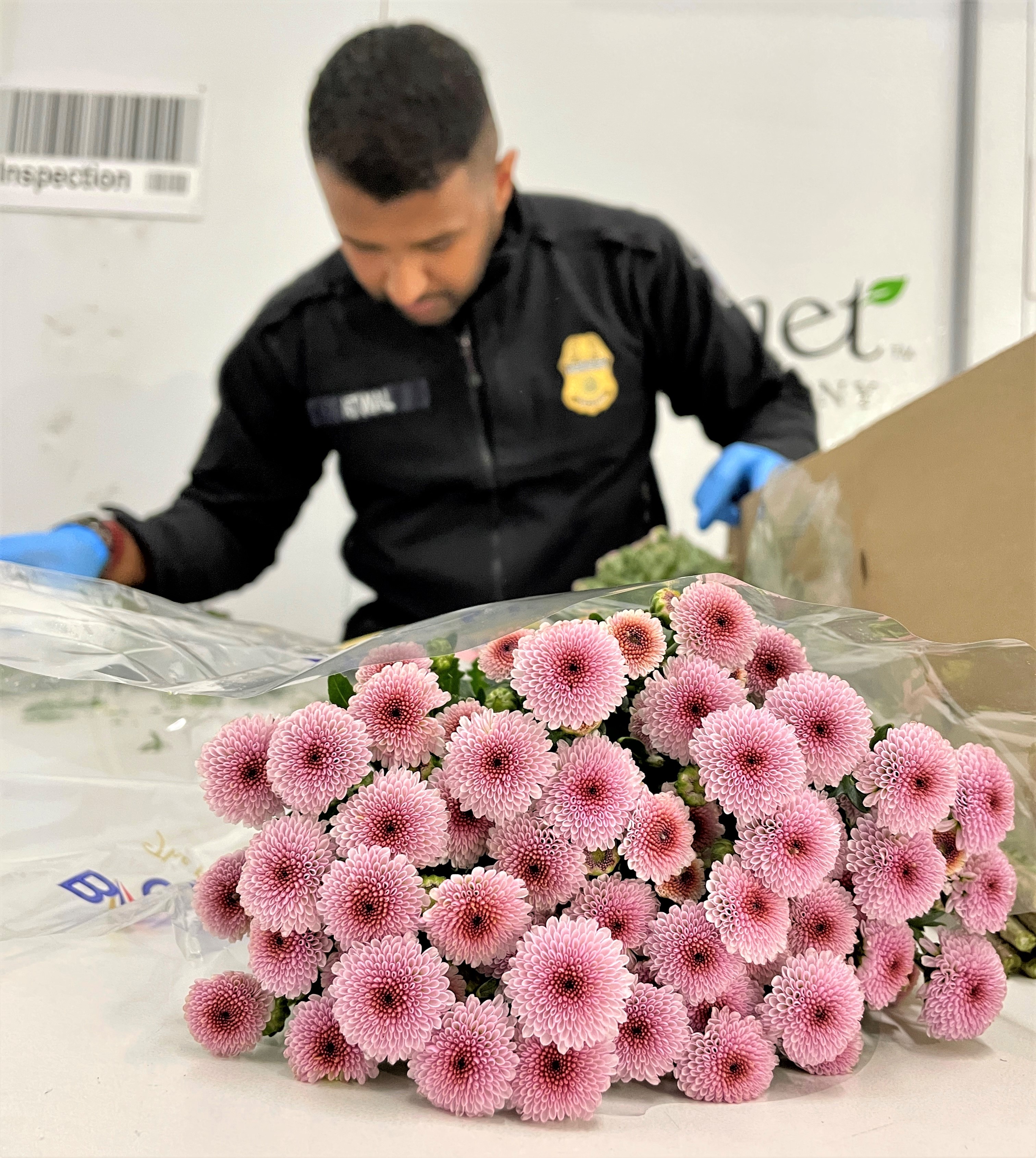 LAX Flowers Inspection 13