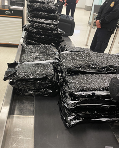 Homeland Security Investigations (HSI) agents arrested a California man after U.S. Customs and Border Protection officers seized 72 pounds of marijuana on April 24, 2023, from baggage being loaded onto an Ireland-bound flight at Philadelphia International Airport. The marijuana weighed a combined 32.74 kilograms, or 72 pounds, three ounces. It has a street value of about $160,000 in the U.S.; however, high quality U.S. marijuana can fetch prices many times higher throughout other parts of the world.