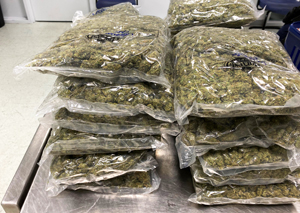 U.S. Customs and Border Protection officers seized about 21 pounds of marijuana on July 22, 2023, that they discovered in the baggage of a French woman flying from Philadelphia to London. High-potency U.S.-farmed marijuana fetches higher prices in Europe; however, smuggling marijuana remains illegal under federal law and CBP officers will continue to seize it and hold traveler accountable.