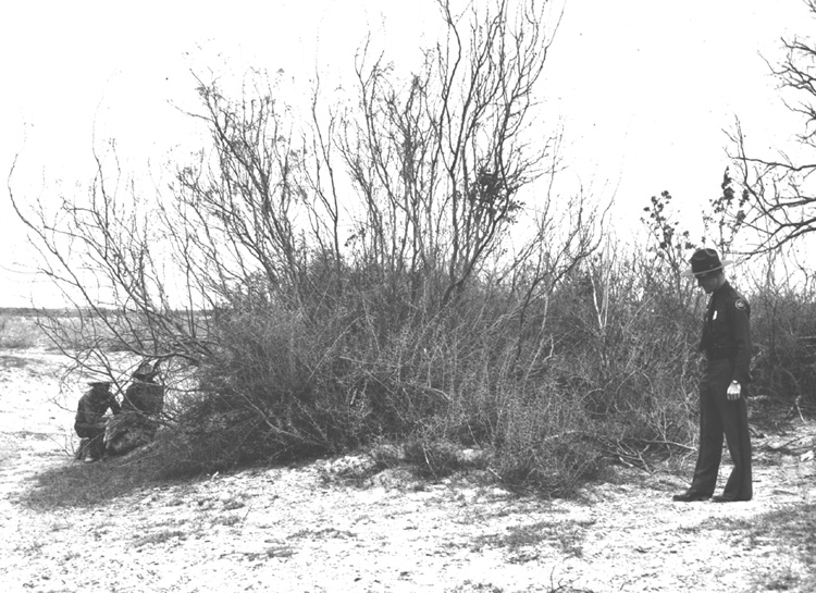 Border Patrol Inspector following sign leading to hiding place of illegal Mexican entants shortly after they had effected illegal entry into the United States by wading the Rio Grande River near Del Rio, Texas, March 12, 1956.