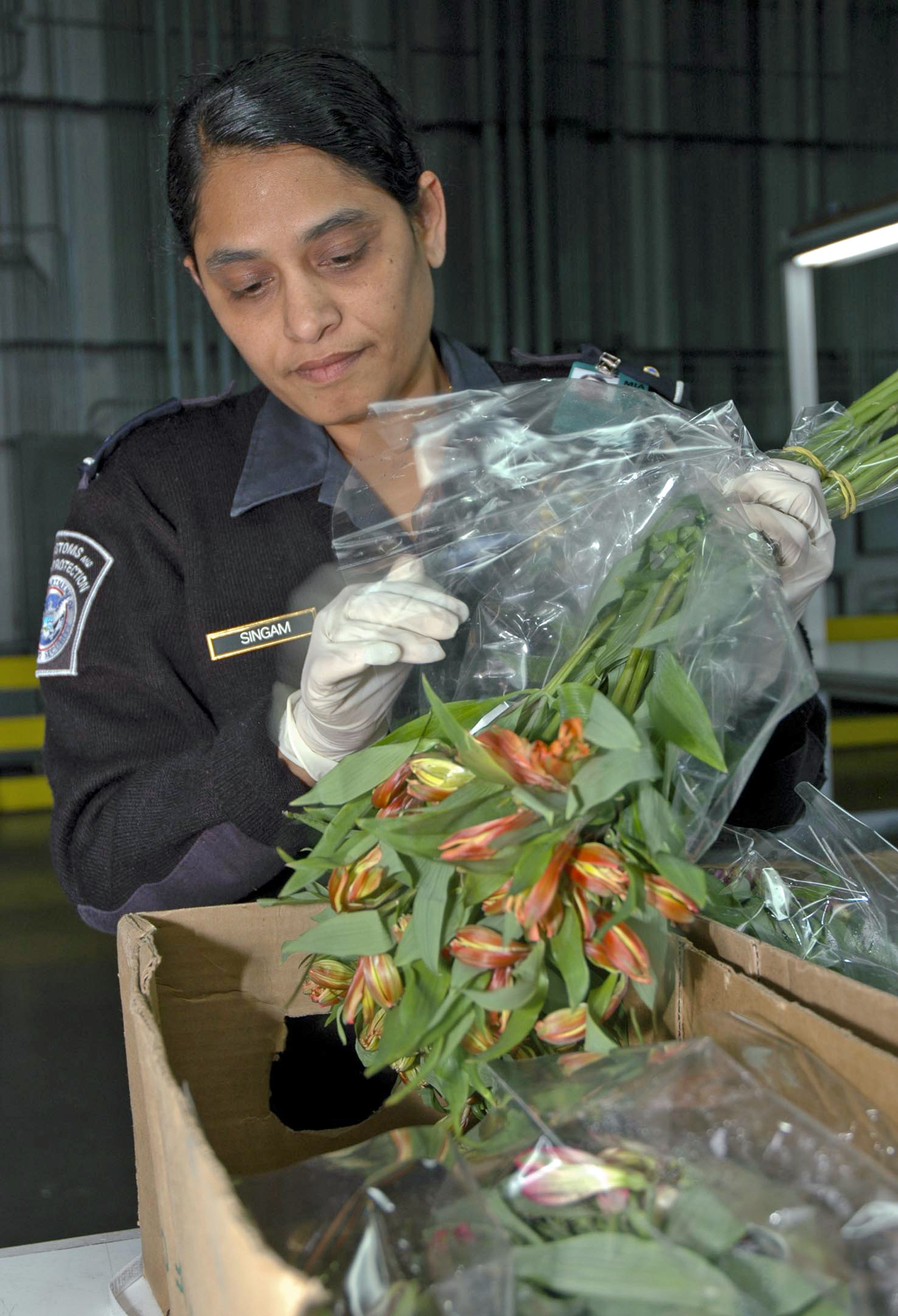 An agriculture specialist at Miami International Airport inspects flowers.