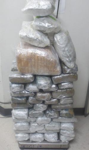 100.95-pound marijuana load.
