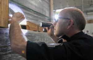 CBP agriculture specialist looking for pests in wood packing materials