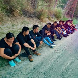 11 apprehended by Border Patrol 