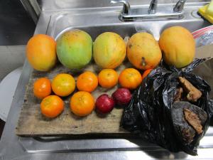 A variety of prohibited fruits recently intercepted by CBP agriculture specialists conducting examinations at Hidalgo/Pharr/Anzalduas Port of Entry.