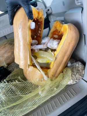 CBP officers discover nearly 44 pounds of liquid methamphetamine within condoms inside pumpkins in a passenger vehicle at Eagle Pass Port of Entry.