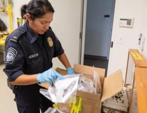 A CBP officer sifts through a box of items. 