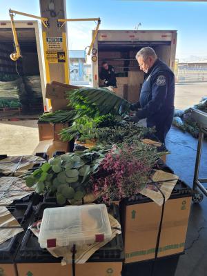 CBP Agriculture Specialists inspect a shipment of flowers at El Paso's Bridge of the Americas commercial cargo facility in February 2023.