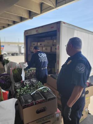 A floral shipment awaiting CBP examination at the Bridge of the Americas in El Paso, Texas.
