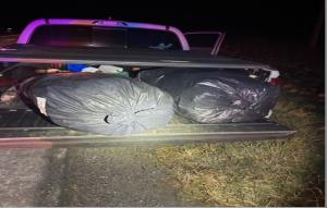 Located inside two large garbage bags were sixty-five small vacuum sealed marijuana bags that Border Patrol agents discovered, being smuggled into the United States.