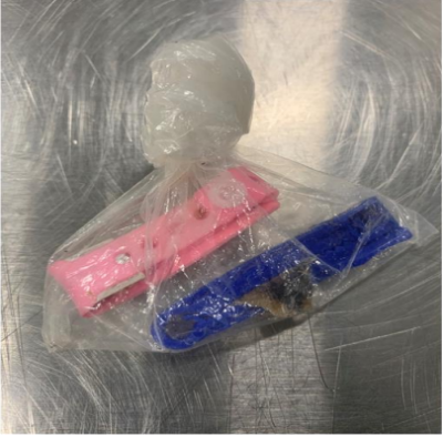 umbilical cord in plastic bag