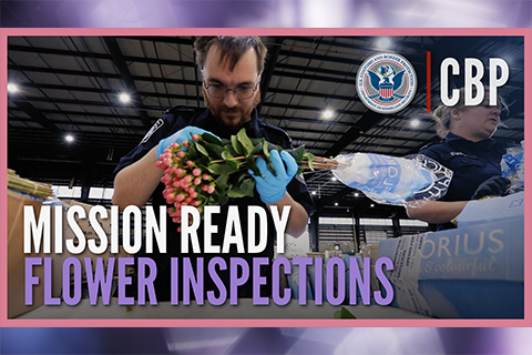 Mission Ready – Valentine’s Day Flower Inspections overlay with a CBP Agriculture Inspector examining a  bunch of flowers in a warehouse