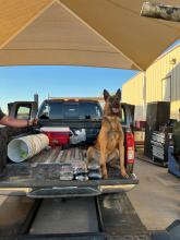 K-9 sits in the bed of a truck with narcotics concealed in black cellophane 