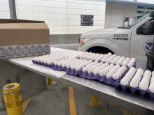 seized carton of eggs from Mexico