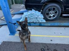 Canine sits in front of fentanyl pills and vehicle