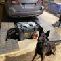K 9 in front of found narcotics during an inspection