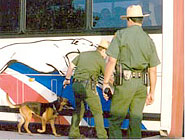 two officers checking a older greyhound bus with dogs
